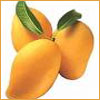 Kesar Mangoes